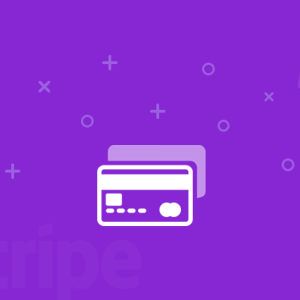 WP ERP - Payment Gateway