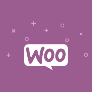 WP ERP - Woocommerce Integration