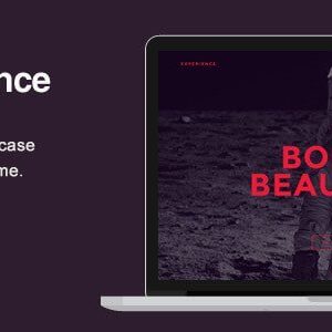 Experience – Showcase Wordpress Theme