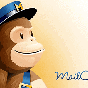 Give Add-On Mailchimp