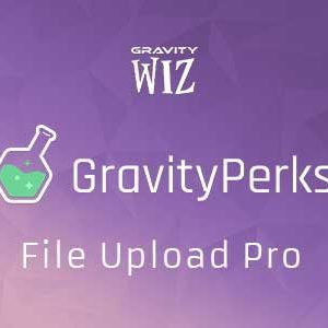 Gravity Perks - File Upload Pro