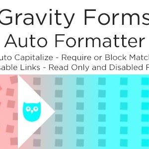 Gravity Forms Auto Formatter