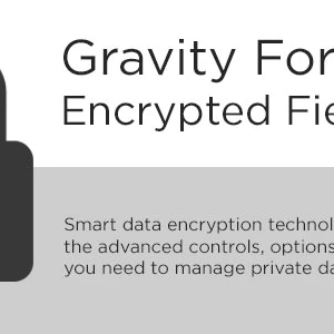 Gravity Forms Encrypted Fields