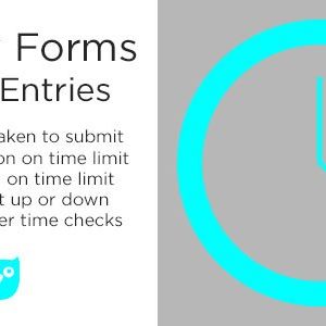 Gravity Forms Timed Entries