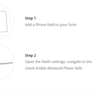 Gravity Perks Advanced Phone Field