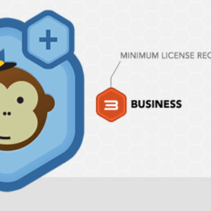Gravity Forms Mailchimp Add-On