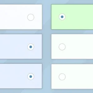 GravityView - Entry Revisions