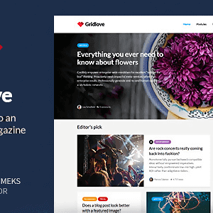 Gridlove – Creative Grid Style News & Magazine Wordpress Theme