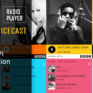 Hero – Shoutcast And Icecast Radio Player With History Wordpress Plugin
