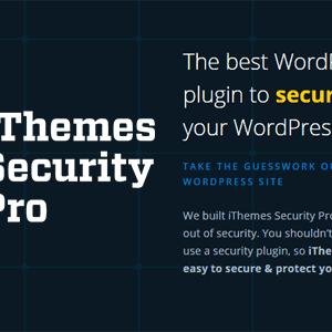 Ithemes Security Local QR Codes