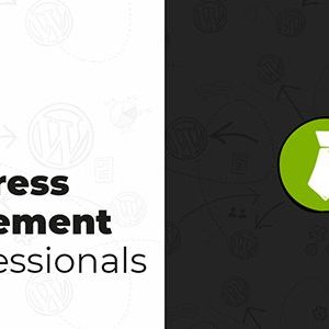 MainWP Time Capsule Extension