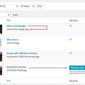 Meow Apps – Media File Renamer Pro