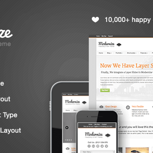 Modernize – Flexibility Of Wordpress