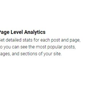 MonsterInsights - Page Insights Addon