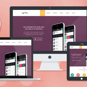 Apptheme – Wordpress Theme For Products And Apps