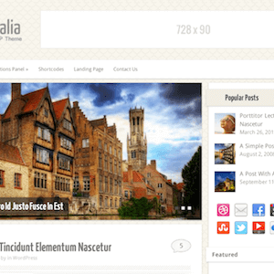 Minimalia – Fully Responsive Blog Wordpress Theme