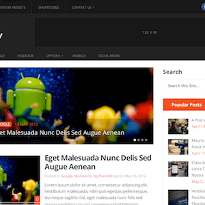 Monopoly – Sleek & Dual-Sidebar Wordpress Theme