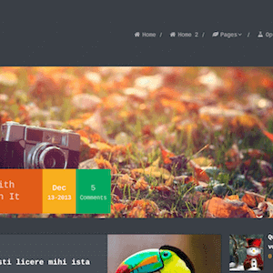 Monospace – Unique Blog Wordpress Theme