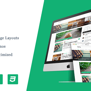 Myblog – Professional Wordpress Theme