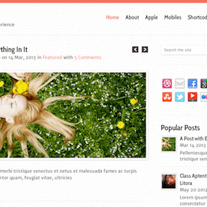 Pureview – Lightweight, Flexible & Powerful Wordpress Theme