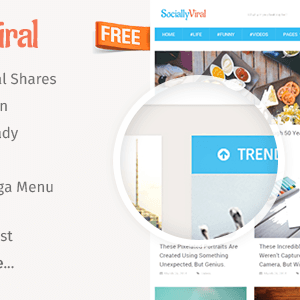 Sociallyviral – Viral Wordpress Blog Theme