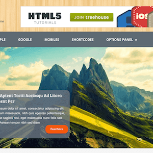 Woodie – Tri-Column, Multipurpose Wordpress Theme