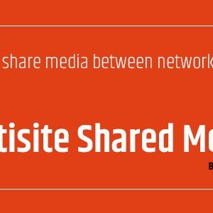 WordPress Multisite Shared Media