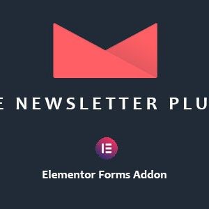 Newsletter - Elementor Addon