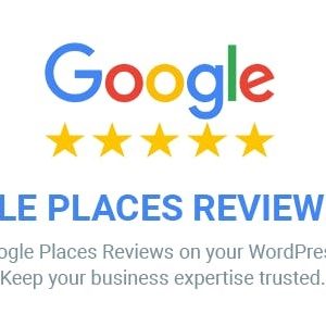 Ninja Google Place Reviews Pro