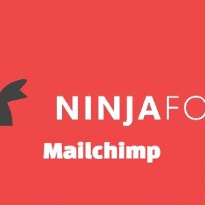 Ninja Forms - MailChimp Opt-ins