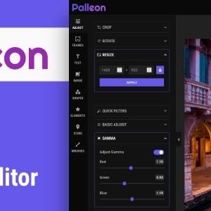 Palleon