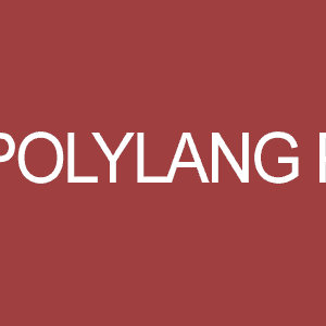 Polylang Pro