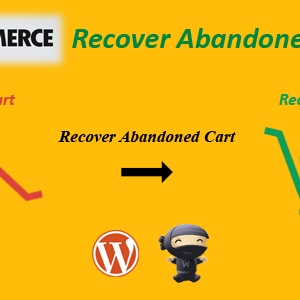 Recover Abandoned Cart