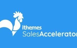 Ithemes Sales Accelerator Reporting Pro