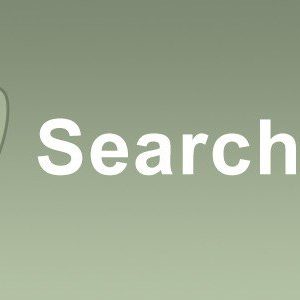 Searchwp – Like Terms