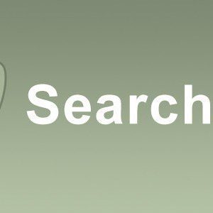 Searchwp – Term Archive Priority