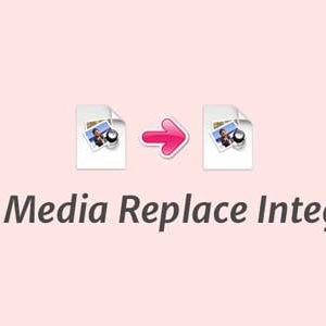 SearchWP – Enable Media Replace Integration