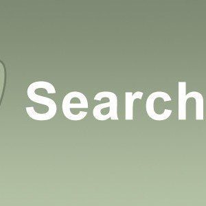 SearchWP Source - Gravity Forms