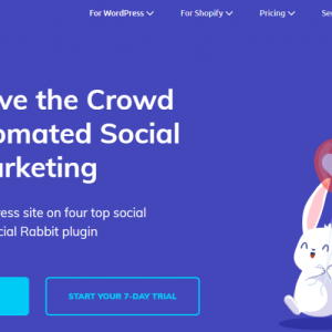Social Rabbit