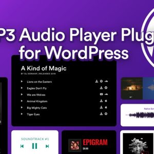MP3 Music Player by Sonaar - Pro version