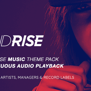 Soundrise – Artists, Producers And Record Labels Wordpress Theme