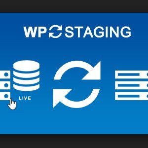 Wp Staging Pro