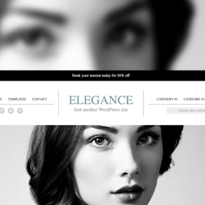 Studiopress Elegance Theme
