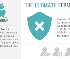 Super Forms Password Protect & User Lockout & Hide Add-on