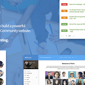 Thrive – Intranet & Community Wordpress Theme
