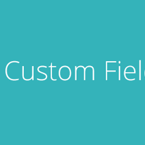 Upstream Custom Fields Extension