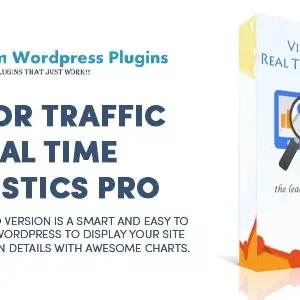 Visitor Traffic Real Time Statistics pro