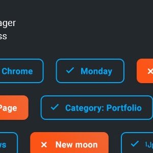 Widget Manager