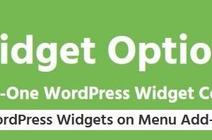 Widgets On Menu – Addon For Extended Widget Options Plugin