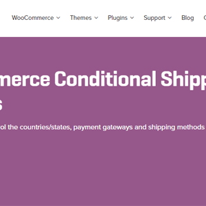 Woocommerce Conditional Shipping And Payments